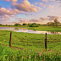 Peaceful Sunset at the Pond